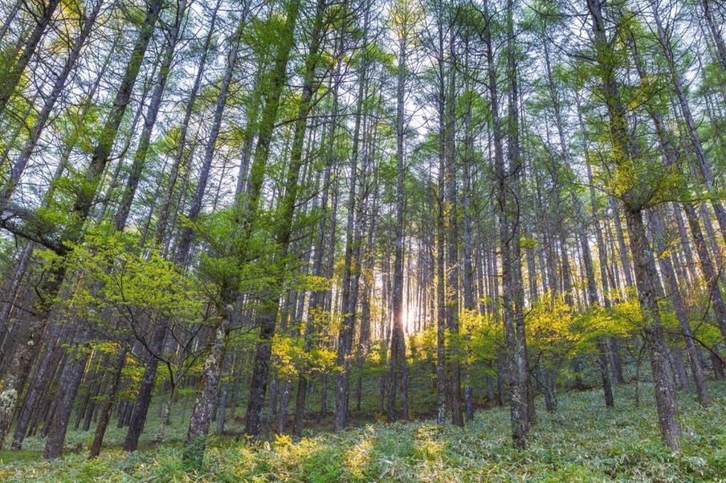 ホテル Oyo 2025 ウィスマ ムスダリファ パレンバン エクステリア 写真